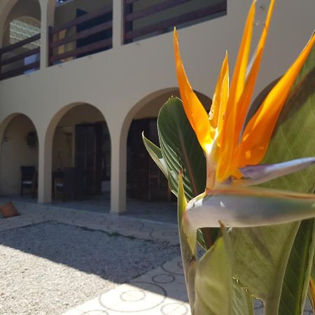 Santo Quintal Hostel Ubatuba Esterno foto
